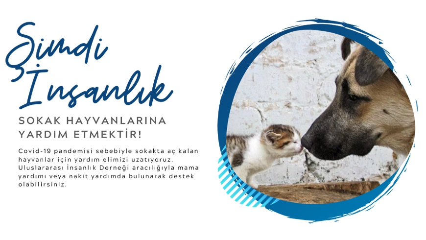 Sokak Hayvanlarına destek olun